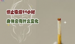 戒烟短视频,短视频带你开启健康生活之旅